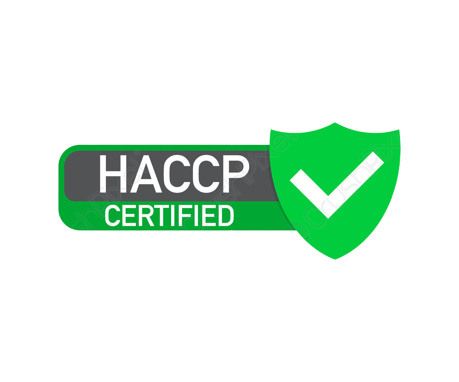 haccp formazionje servizi nuovasas cpa 2023